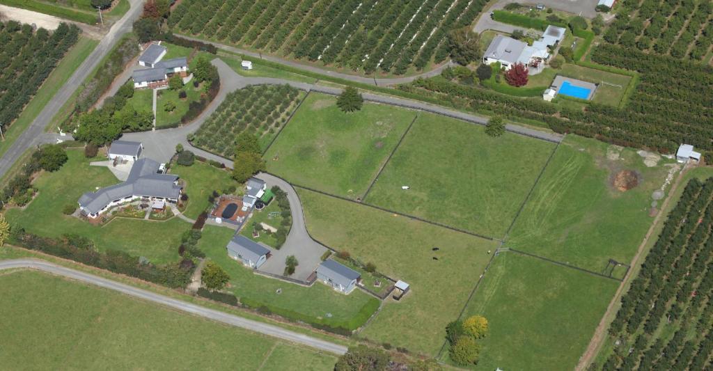 Cottages On St Andrews Havelock North Eksteriør billede
